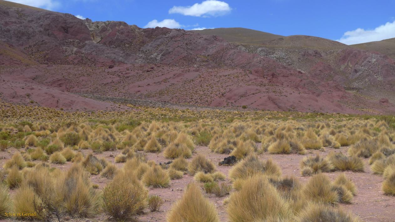 Argentine Nord Puna Susques vers San Antonio de Los Andes  291