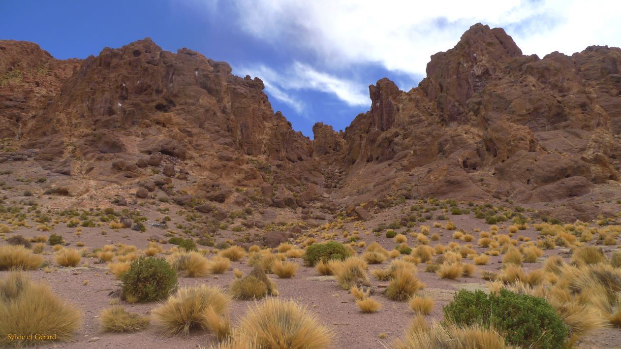 Argentine Nord Puna Susques vers San Antonio de Los Andes  296