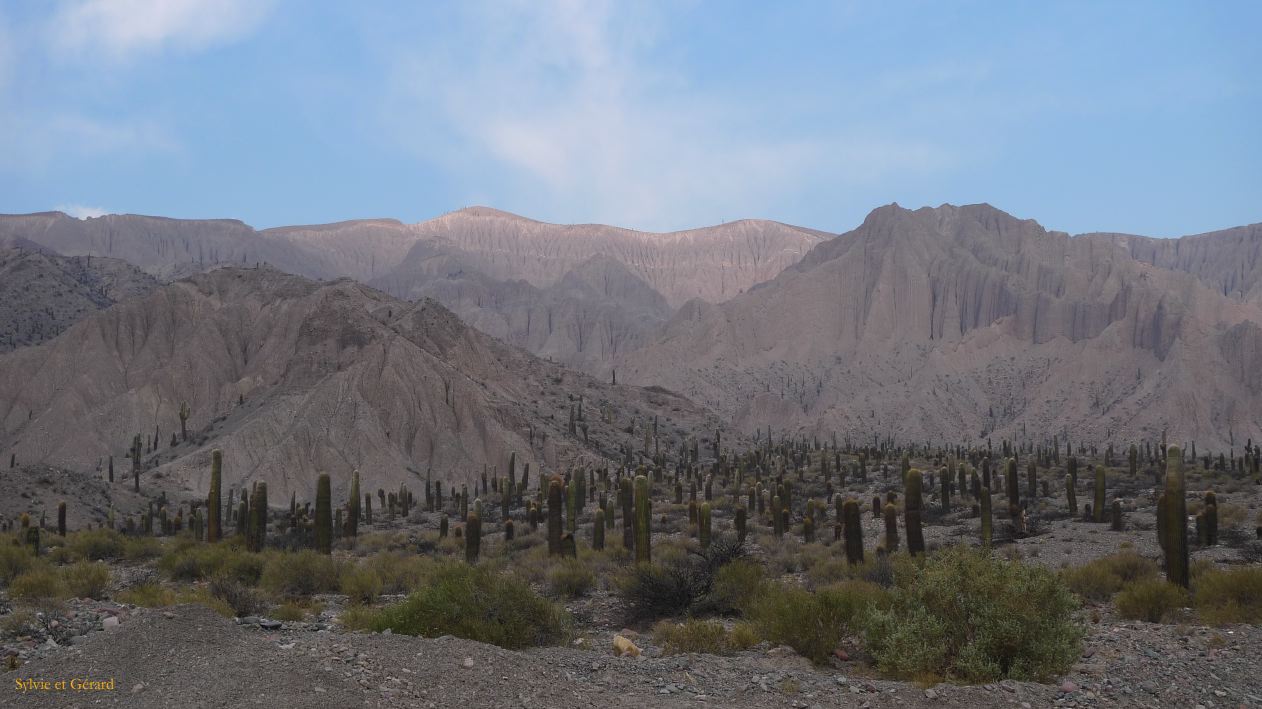 Argentine Nord Puna vers la Quebrada del Toro à partir de San Antonio de Los Andes  045