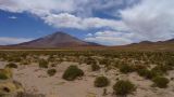 Argentine Nord Puna Susques vers San Antonio de Los Andes  117 volcan Tuzgle