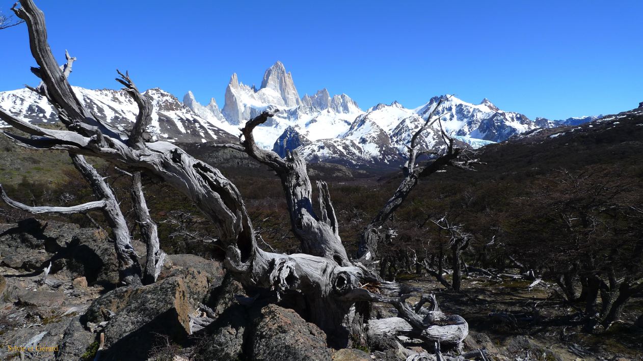 Patagonie El Chaten sendero al Fitz Roy  045