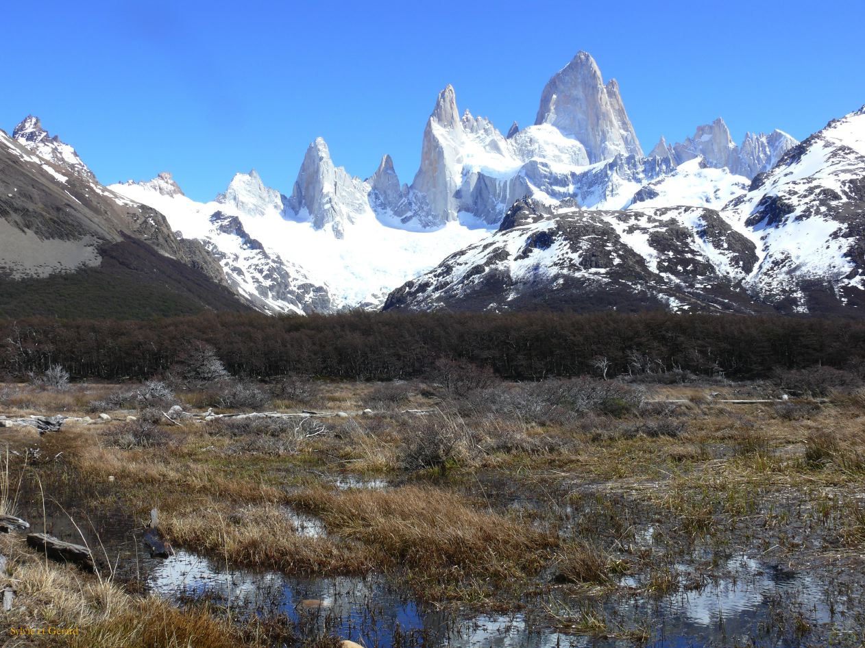 Patagonie El Chaten sendero al Fitz Roy  104