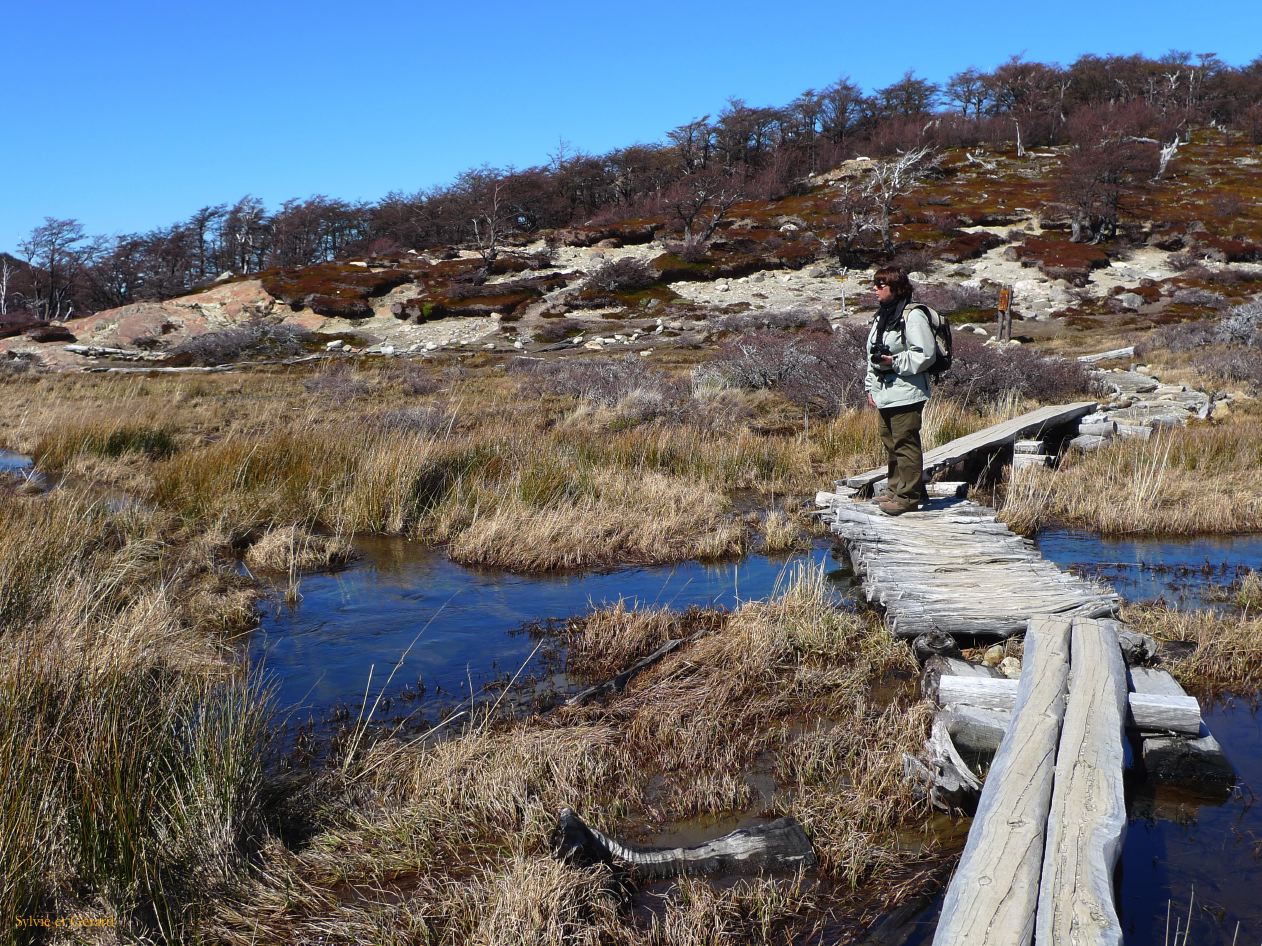 Patagonie El Chaten sendero al Fitz Roy  131