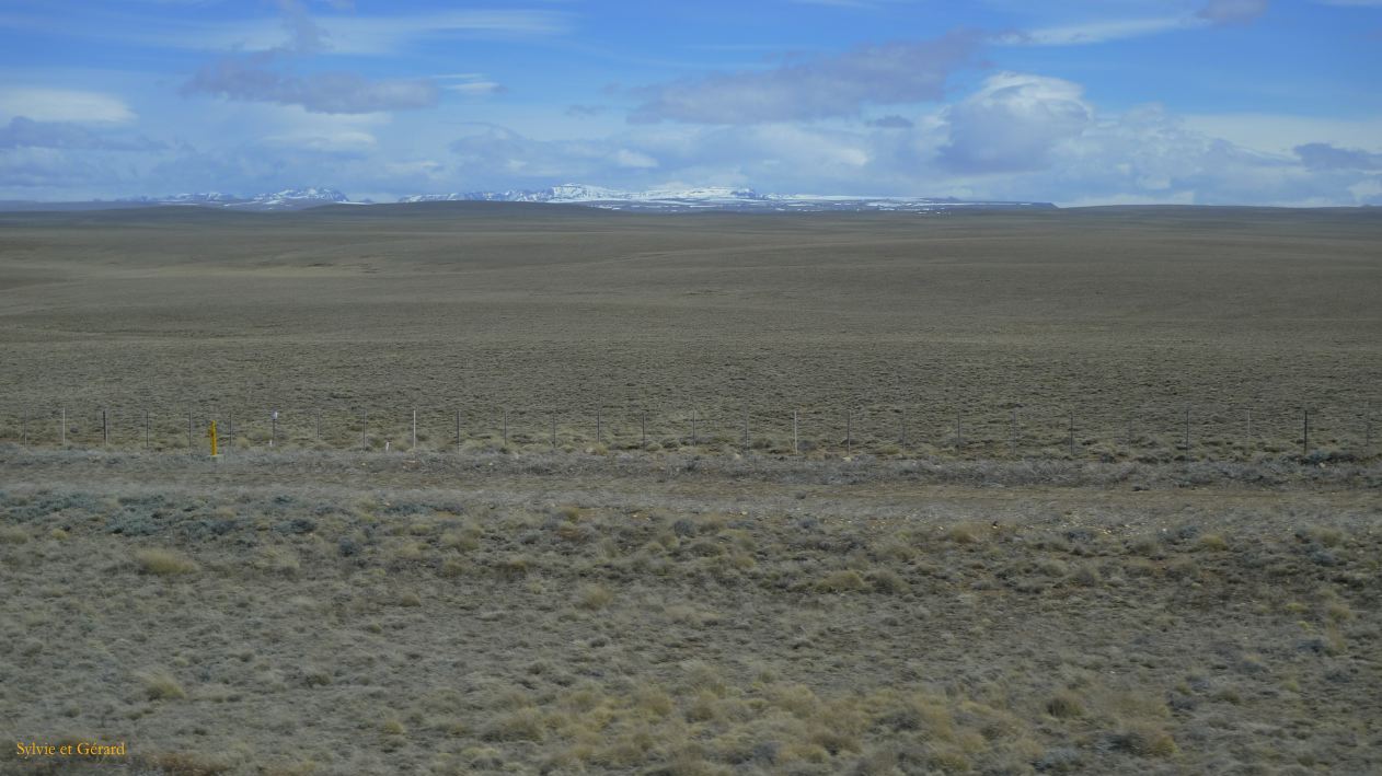 Patagonie El Chaten vers Rio Gallegos  072