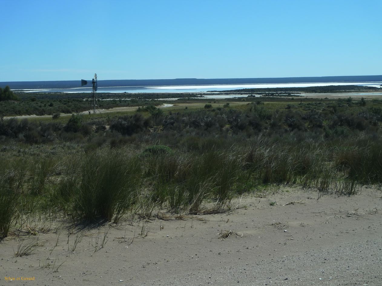 Patagonie Peninsule de Valdes    004