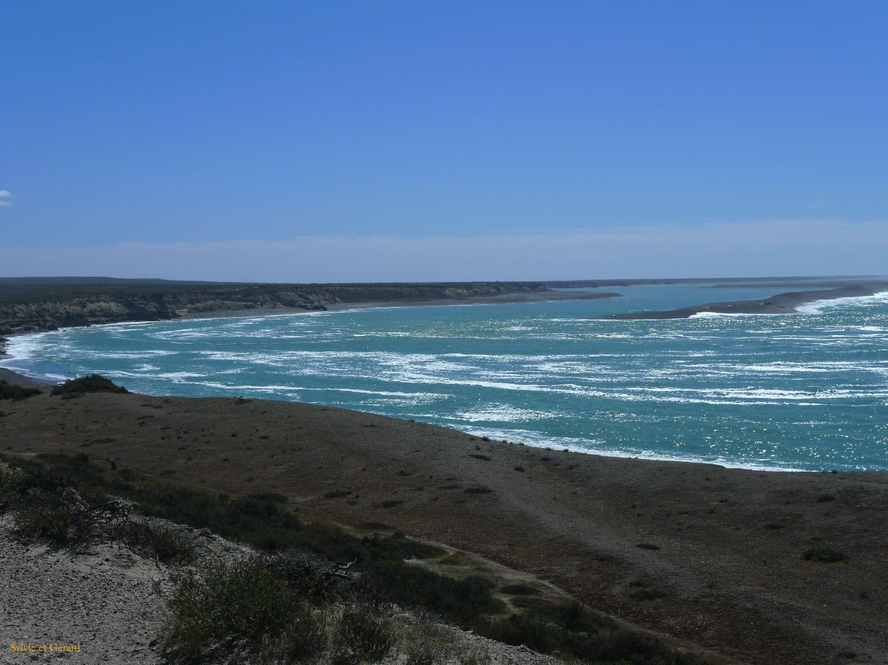 Patagonie Peninsule de Valdes Caleta Valdes  041
