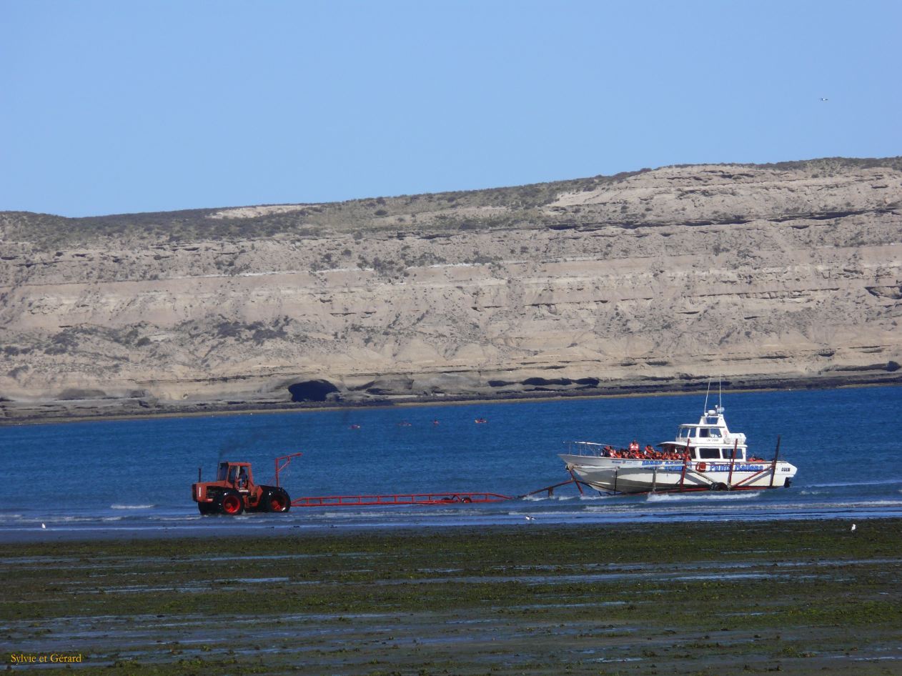Patagonie Peninsule de Valdes Puerto Pyramides   004 remorquage à maree basse