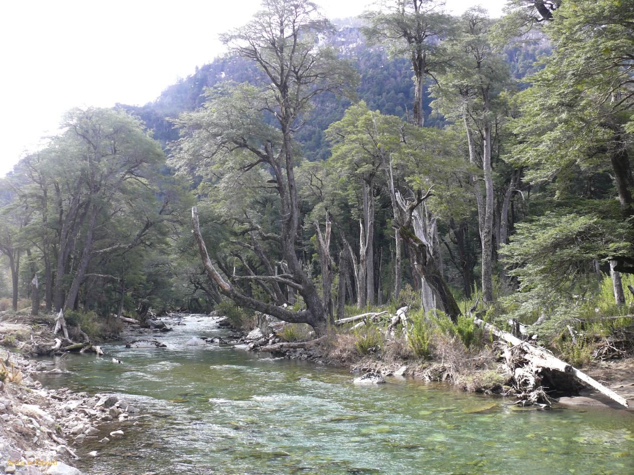 Patagonie Bariloche los siete lagos  149