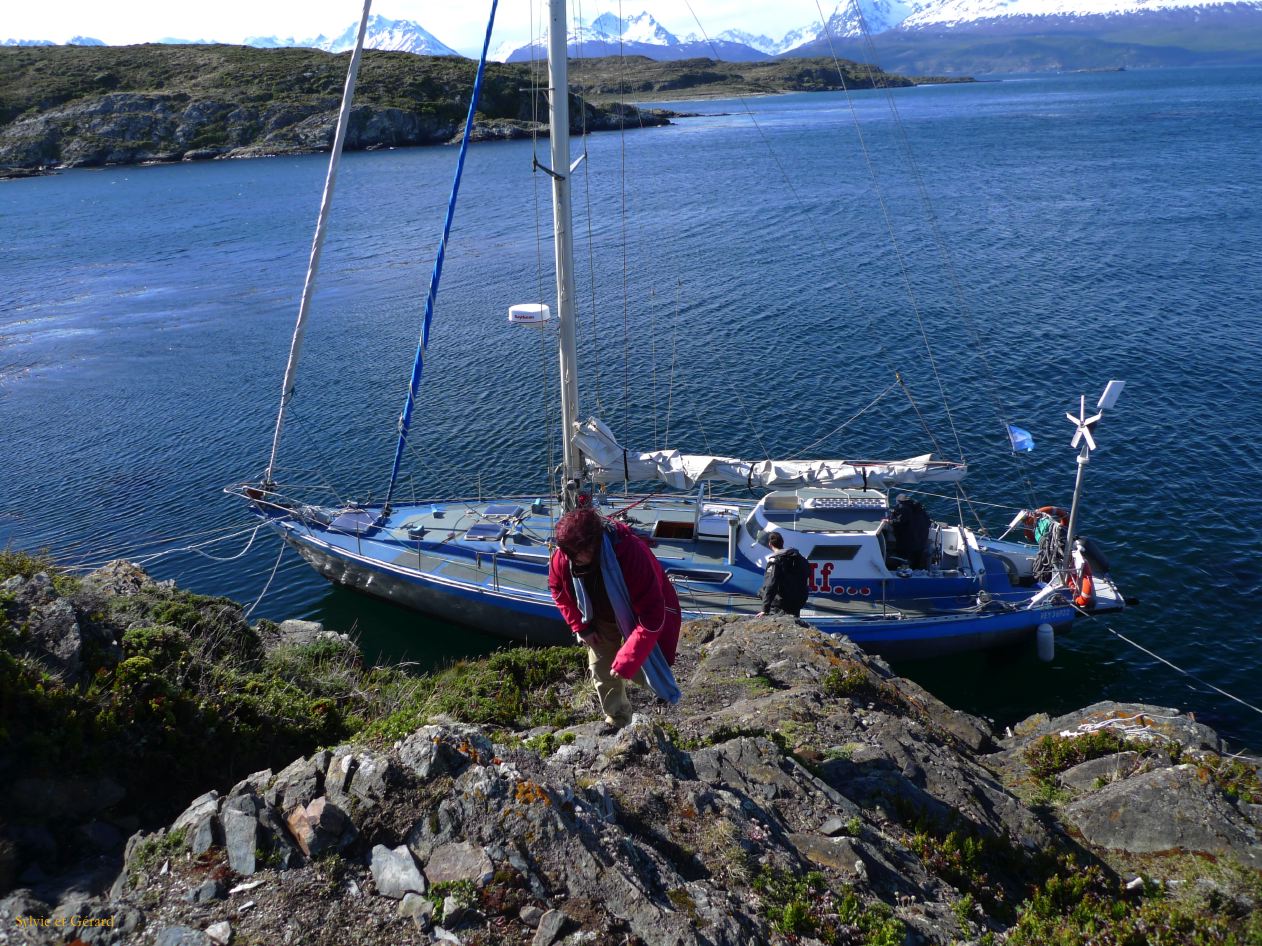 Patagonie Ushuaia Canal de Beagle sur les Tres Marias  056 debarquement sur l'ile H 