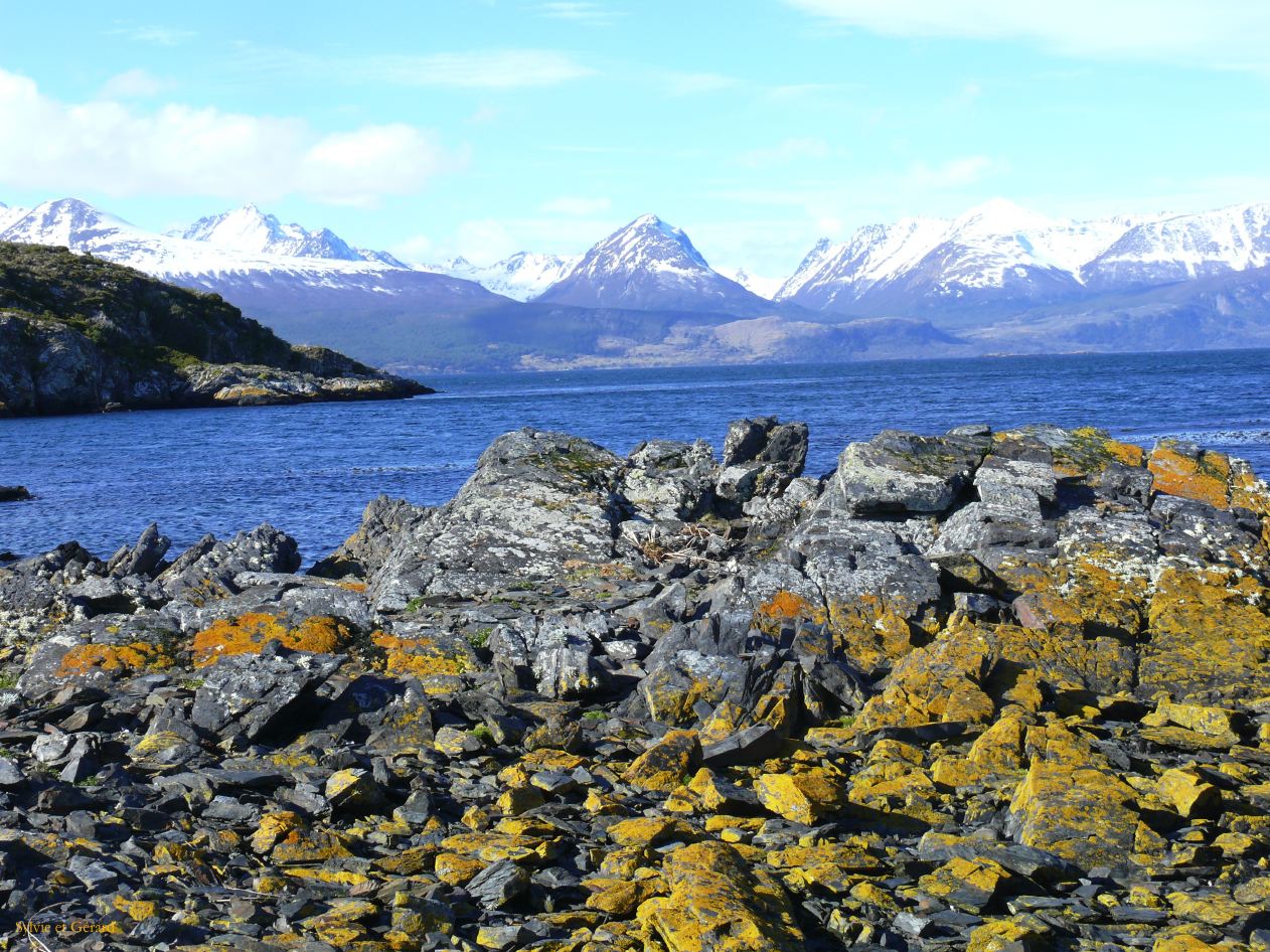 Patagonie Ushuaia Canal de Beagle sur les Tres Marias  078 vue de l'ile H