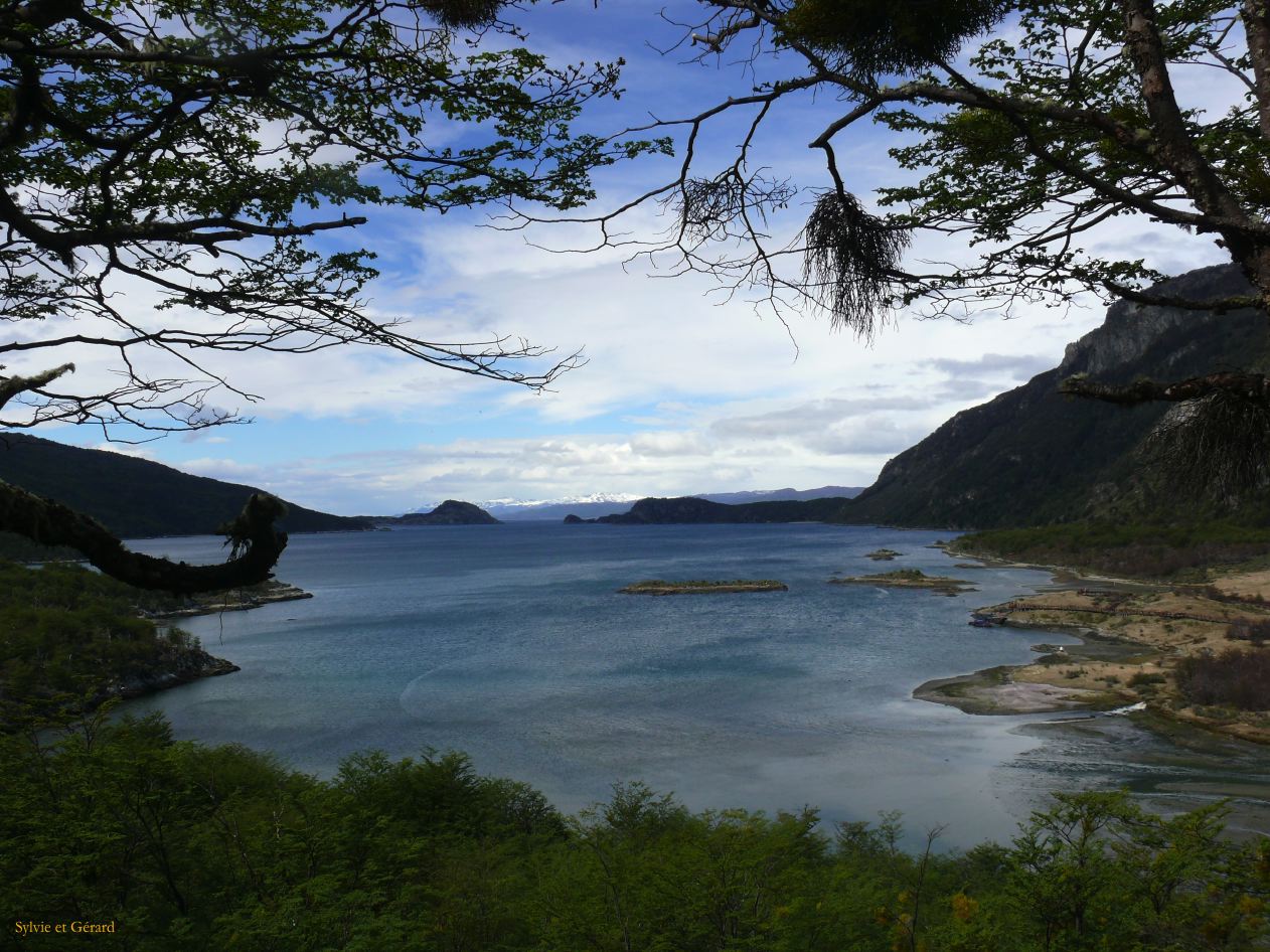 Patagonie Ushuaia Parc de la Terre de Feu  035