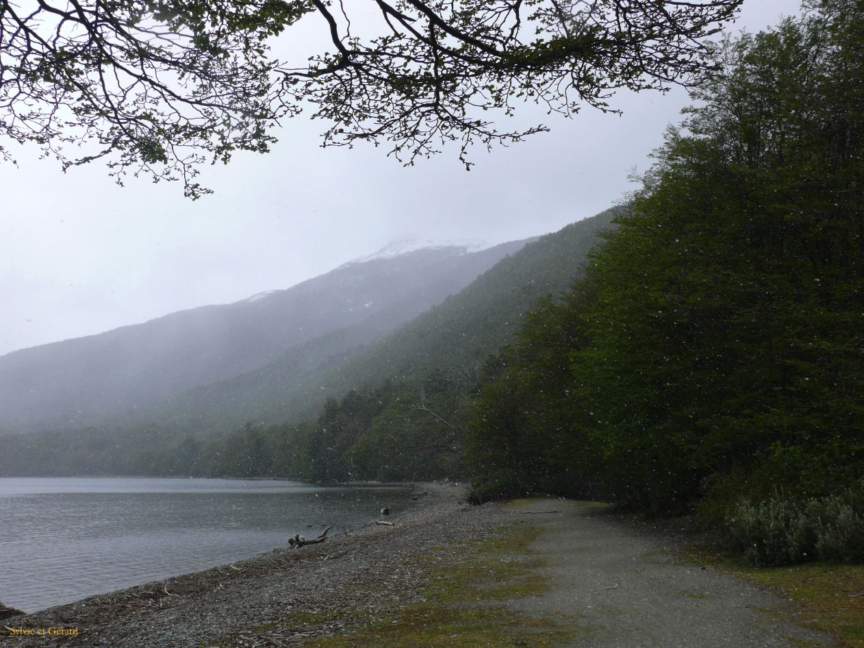 Patagonie Ushuaia Parc de la Terre de Feu  210 il neige