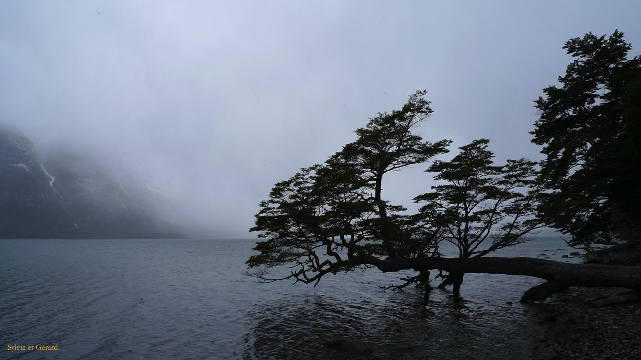 Patagonie Ushuaia Parc de la Terre de Feu  242