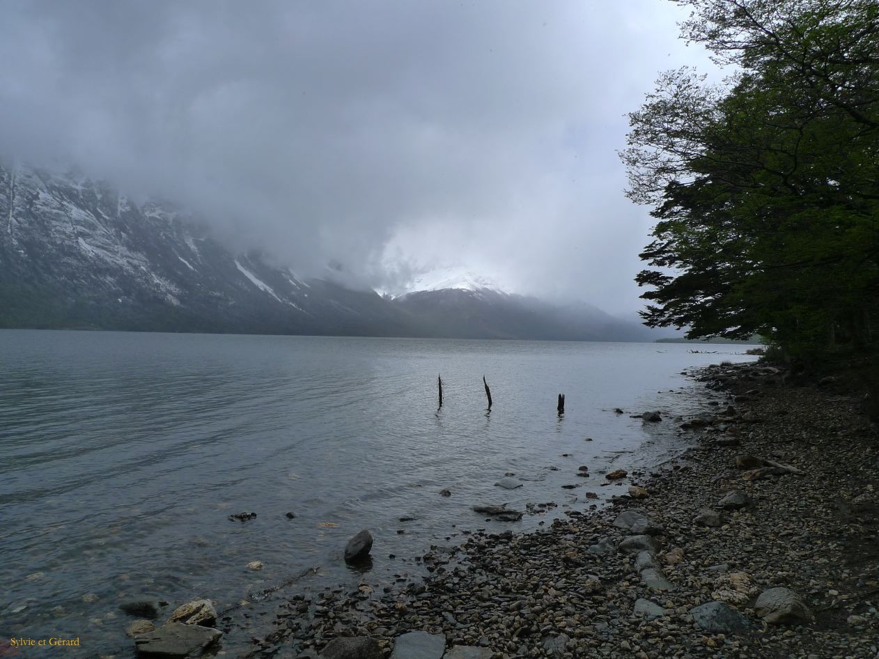 Patagonie Ushuaia Parc de la Terre de Feu  253