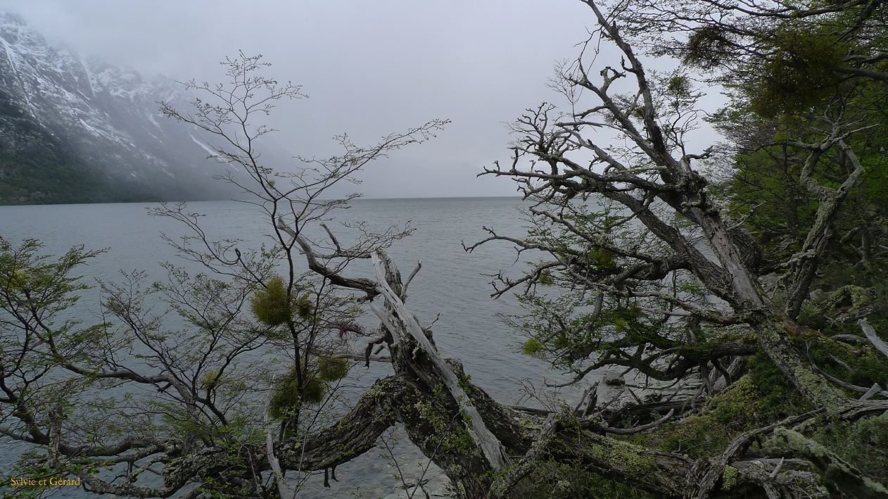 Patagonie Ushuaia Parc de la Terre de Feu  283