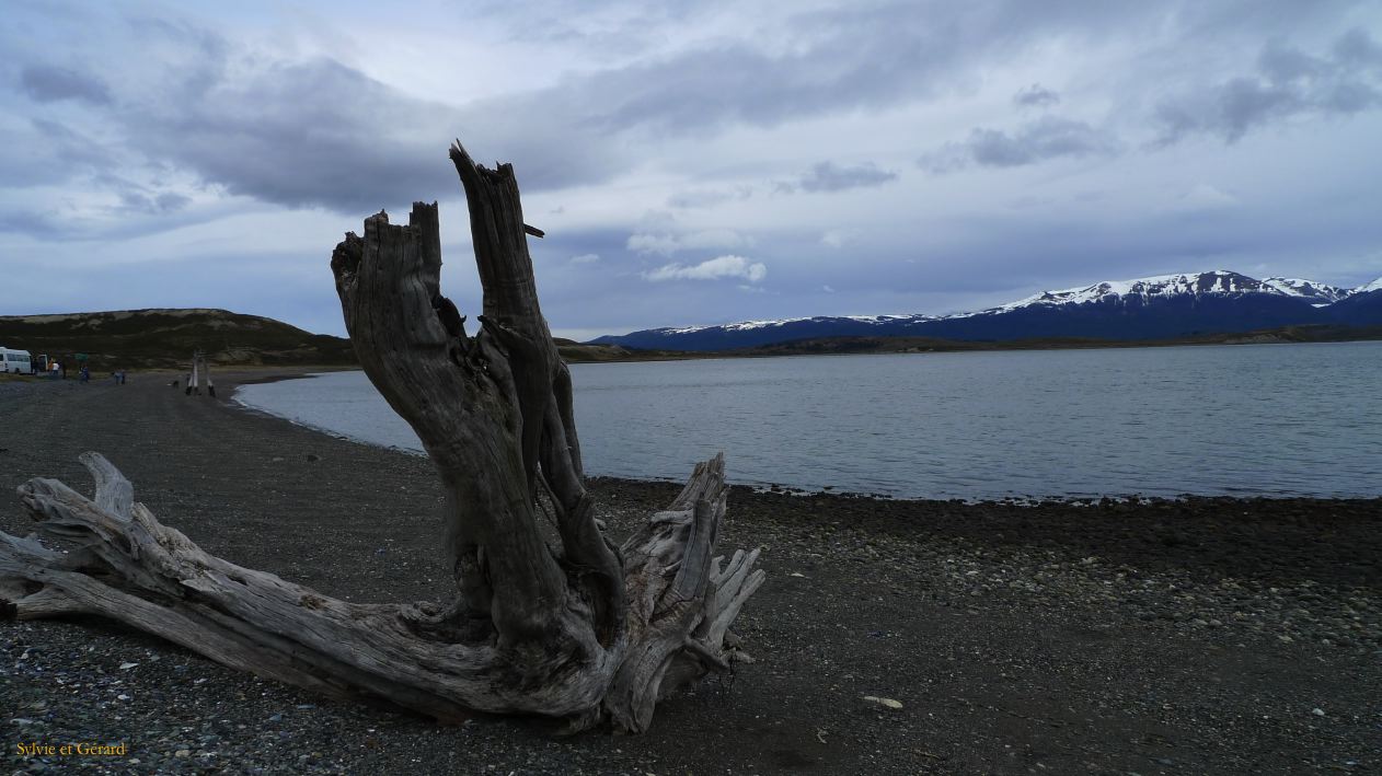 Patagonie Ushuaia vers Estancia Haberton  012