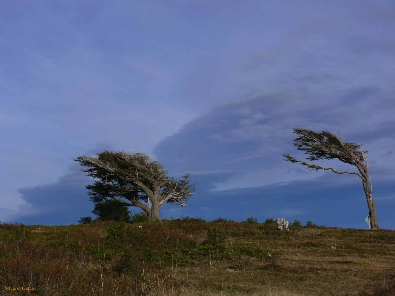 Patagonie Ushuaia vers Estancia Haberton  150