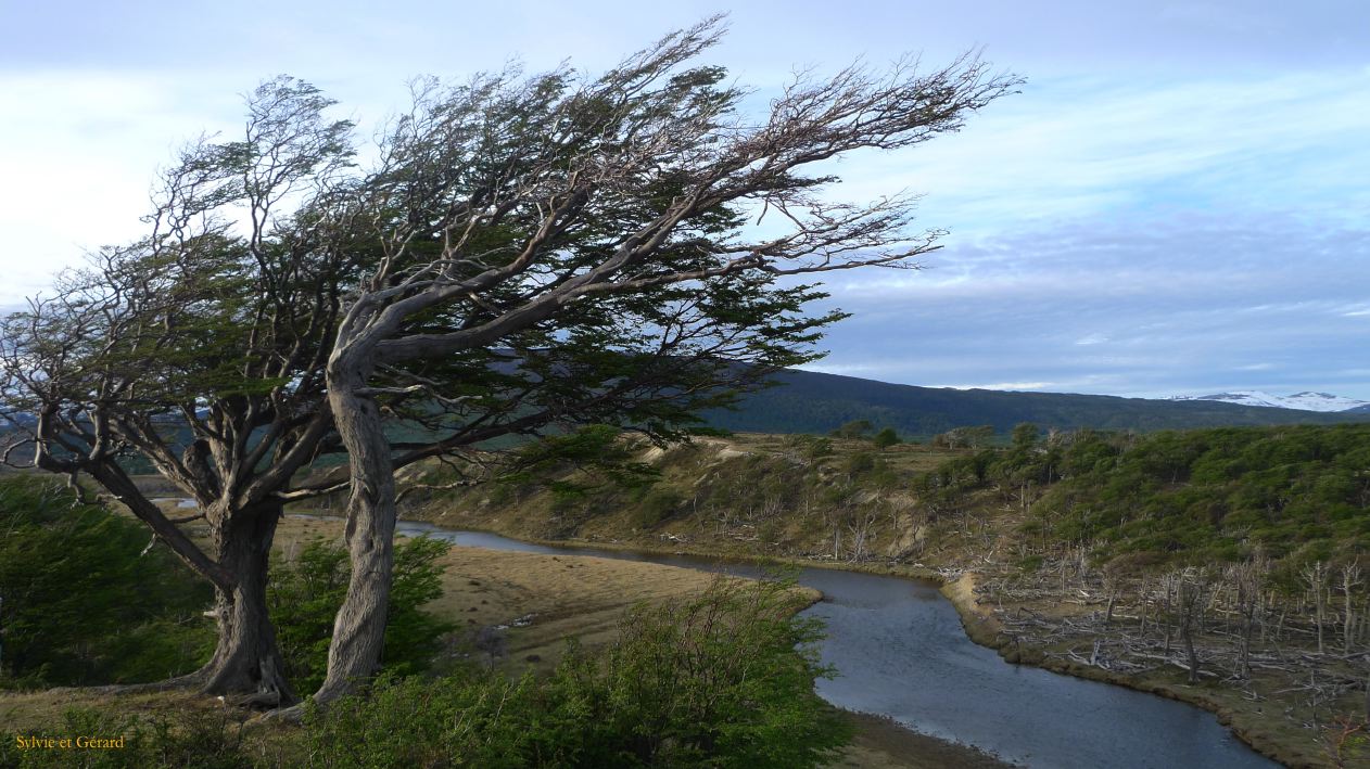 Patagonie Ushuaia vers Estancia Haberton  180