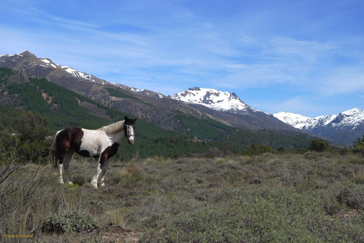 Patagonie Bariloche Valle Encatado y paseo Cordoba  017