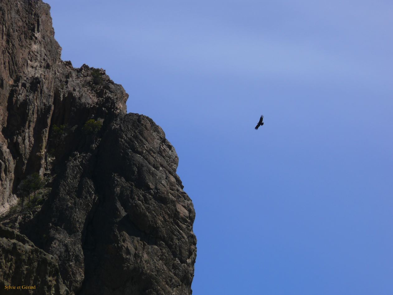 Patagonie Bariloche Valle Encatado y paseo Cordoba  125