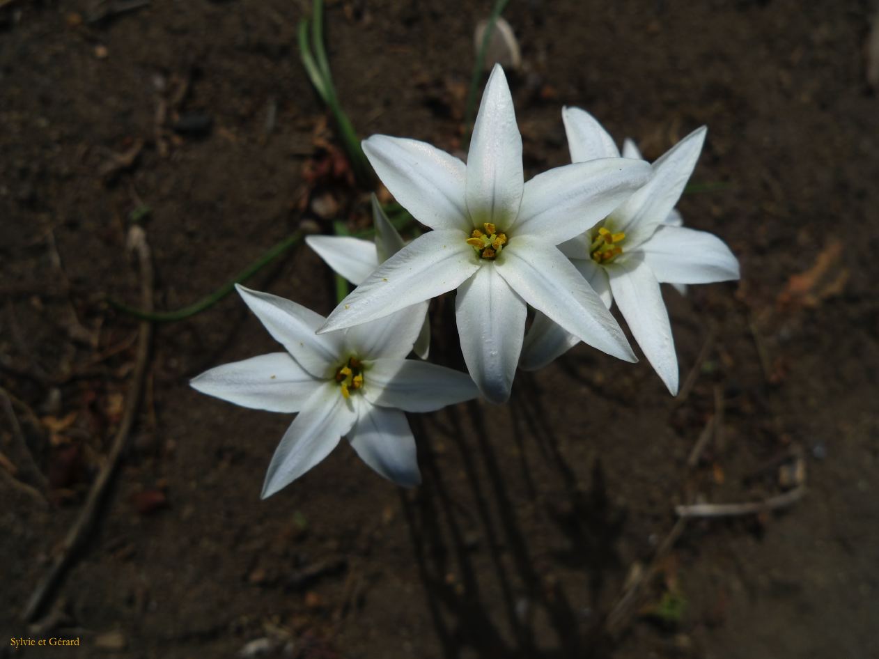 Patagonie Bariloche Valle Encatado y paseo Cordoba  158