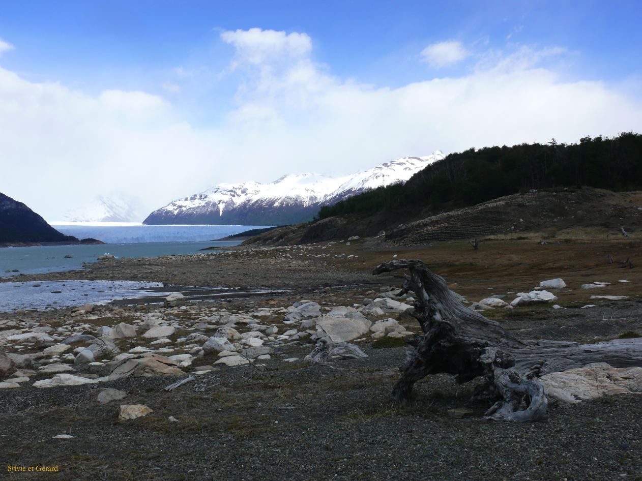 Patagonie El Calafate El Glaciar Perito Moreno  006