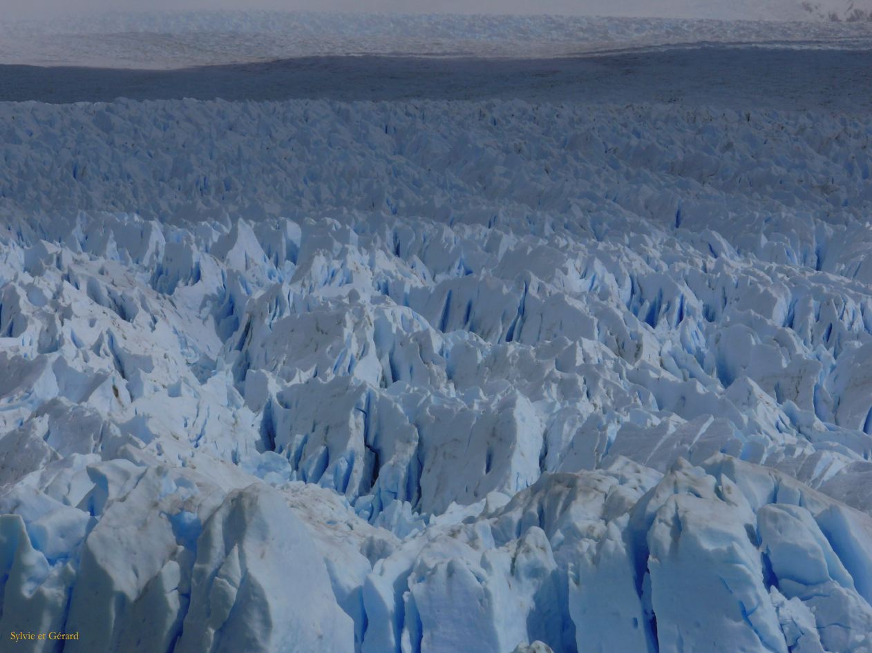 Patagonie El Calafate El Glaciar Perito Moreno  189