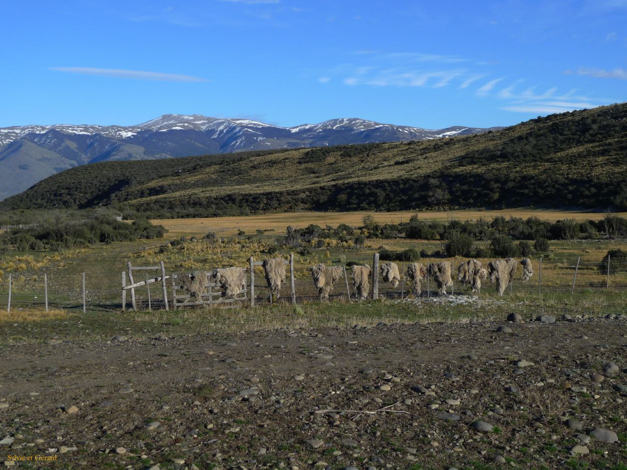 Patagonie El Calafate les environs  017