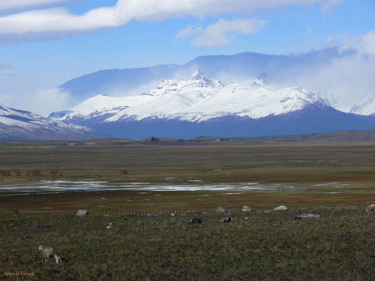 Patagonie El Calafate les environs  030