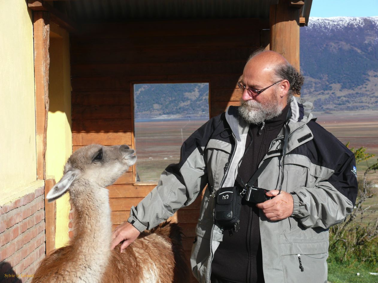 Patagonie El Calafate les environs  049