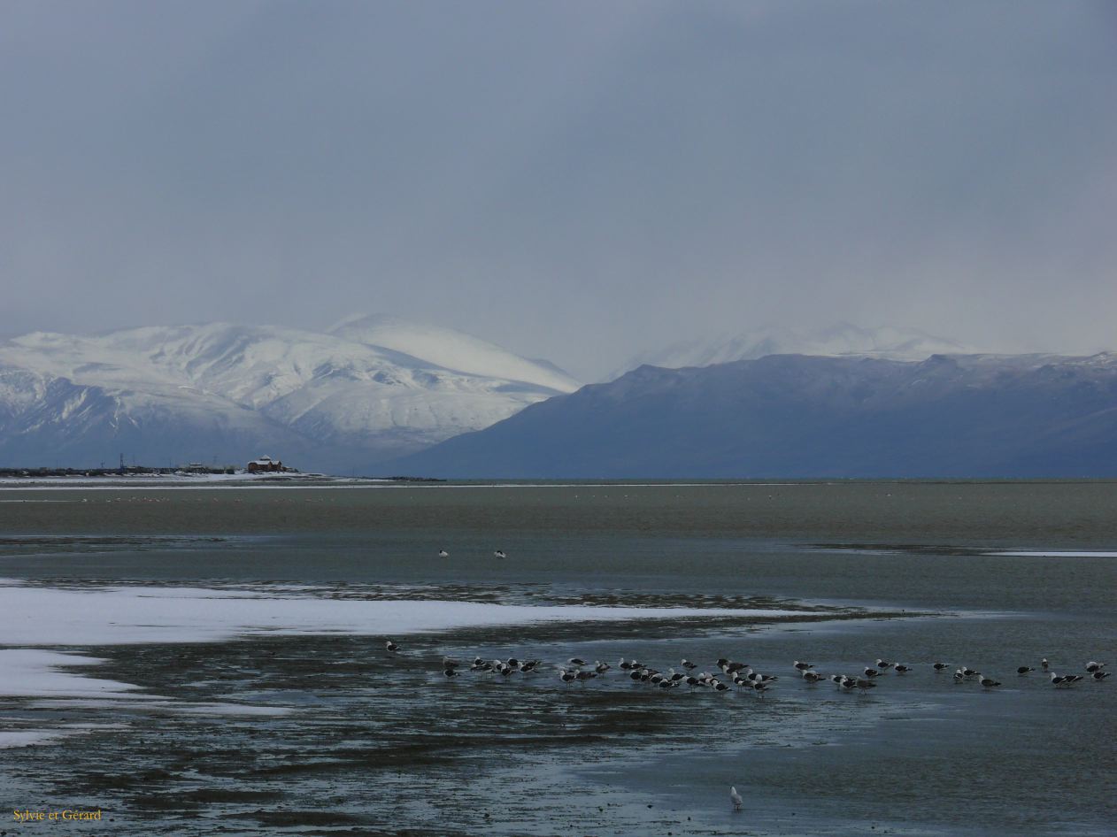 Patagonie El Calafate sous la neige  122