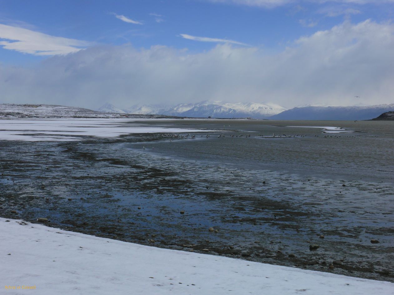 Patagonie El Calafate sous la neige  125