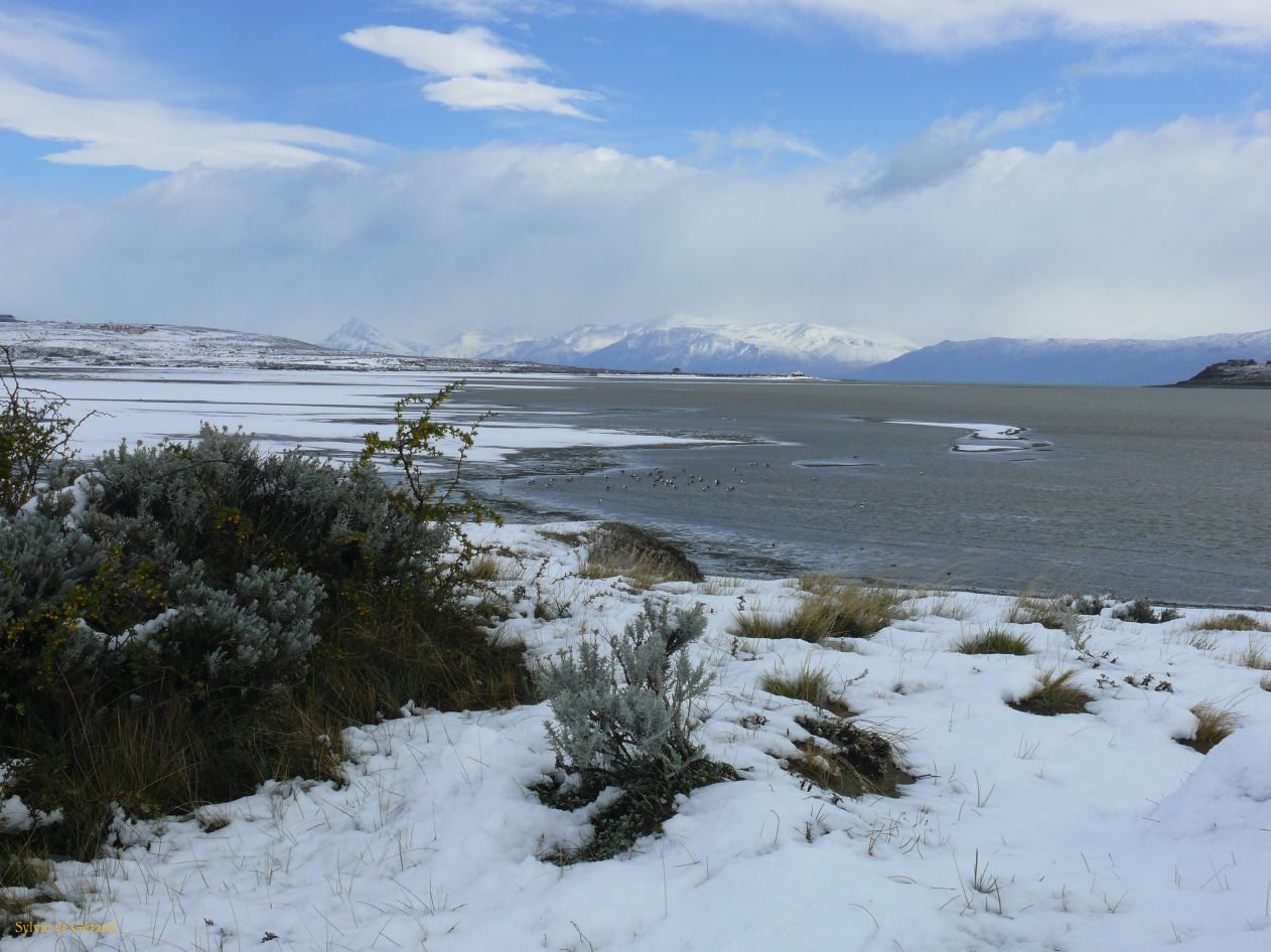 Patagonie El Calafate sous la neige  142