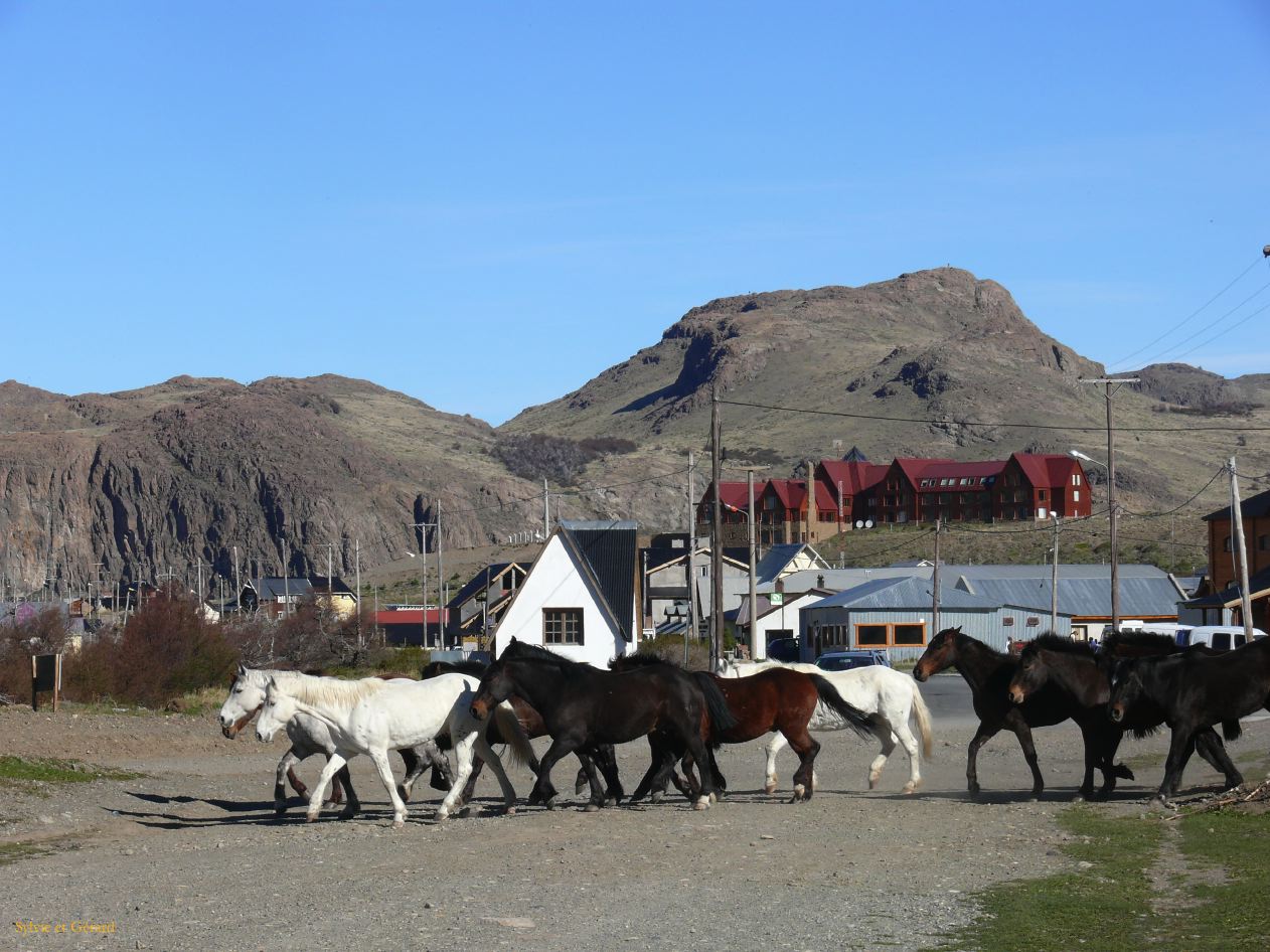 Patagonie El Chaten 005