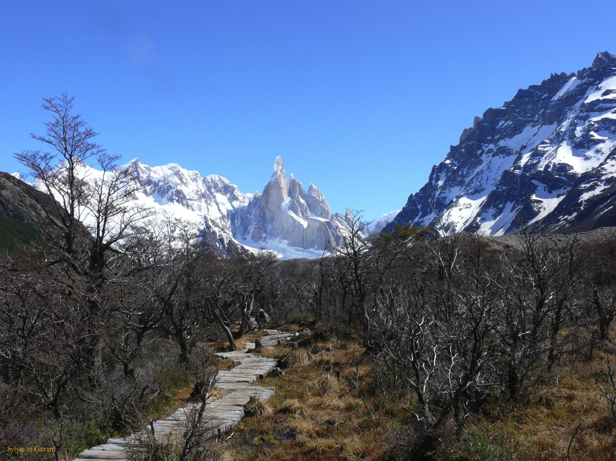 Patagonie El Chaten laguna Torre  028