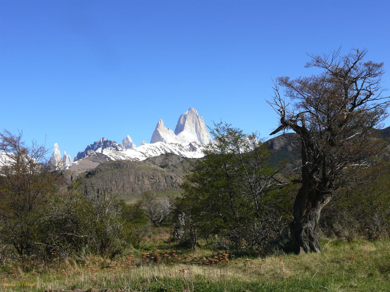 Patagonie El Chaten mirador de los condores  011