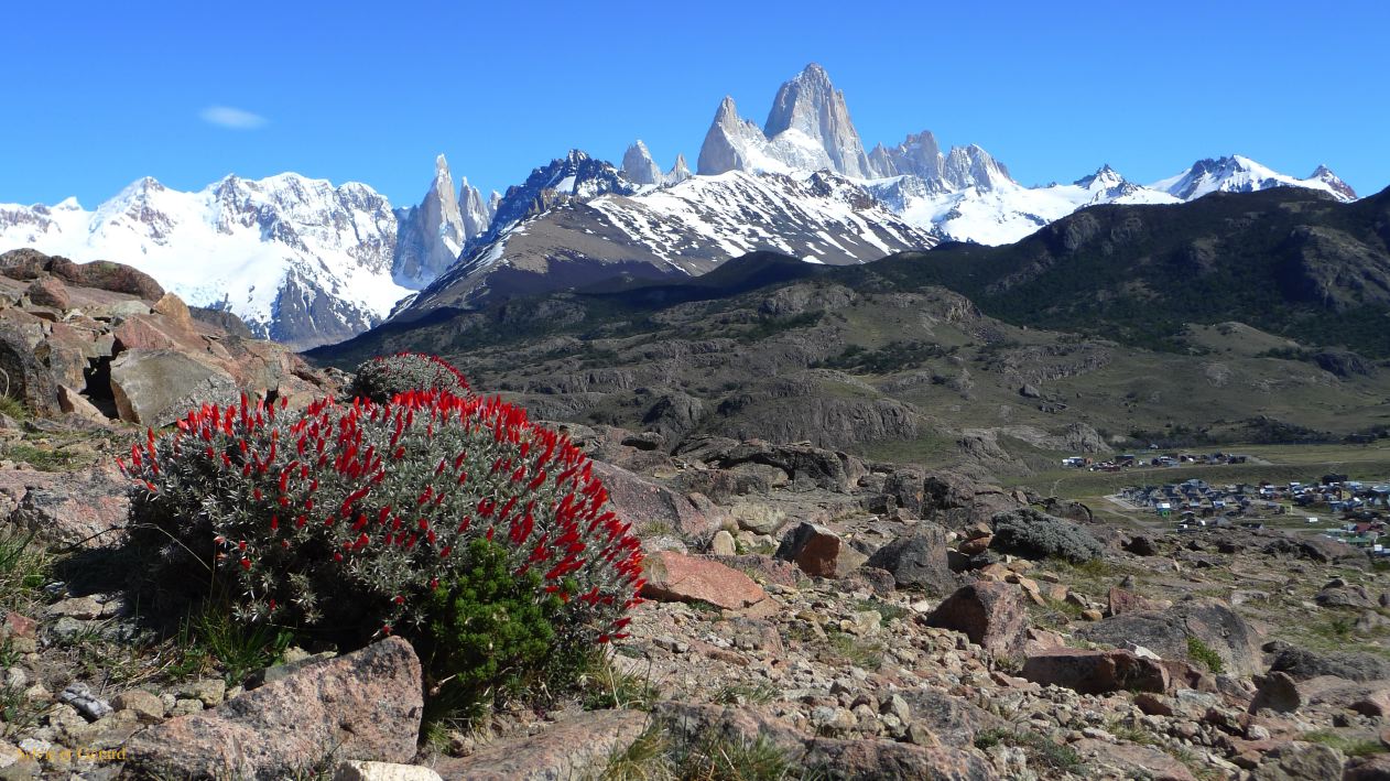 Patagonie El Chaten mirador de los condores  026