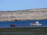 Patagonie Peninsule de Valdes Puerto Pyramides   004 remorquage à maree basse