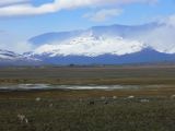 Patagonie El Calafate les environs  030