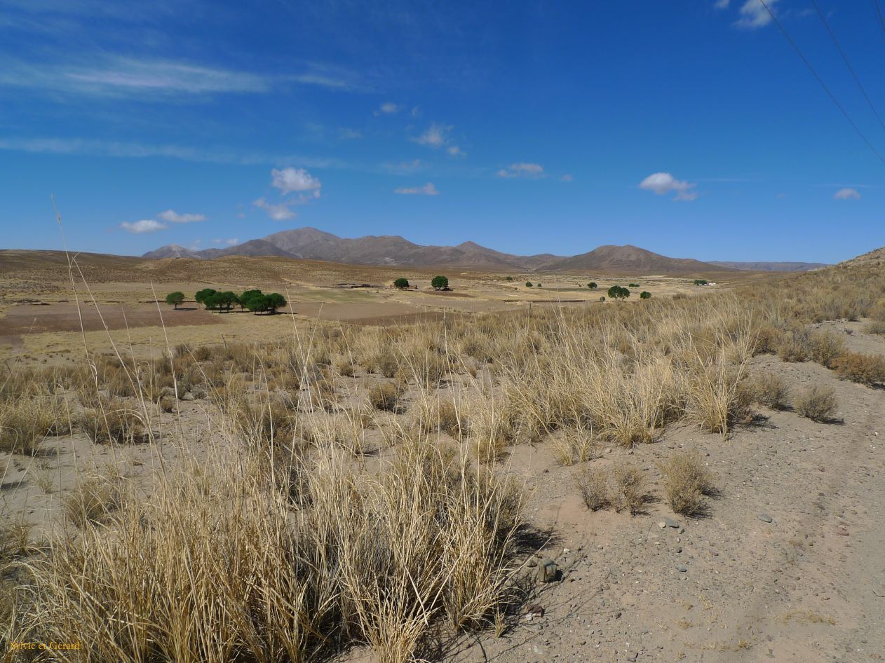 12 Laguana de los Pozuelos Ruta 5-1
