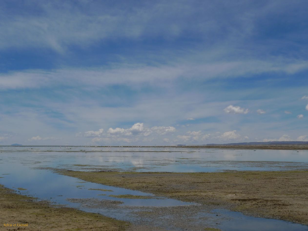 12 Laguana de los Pozuelos Ruta 5-17