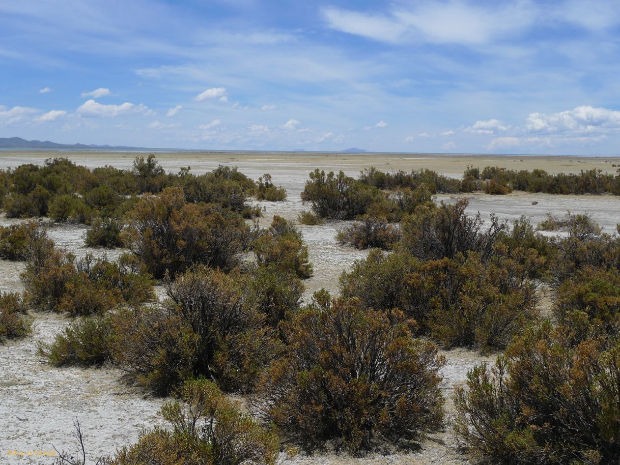 12 Laguana de los Pozuelos Ruta 5-18
