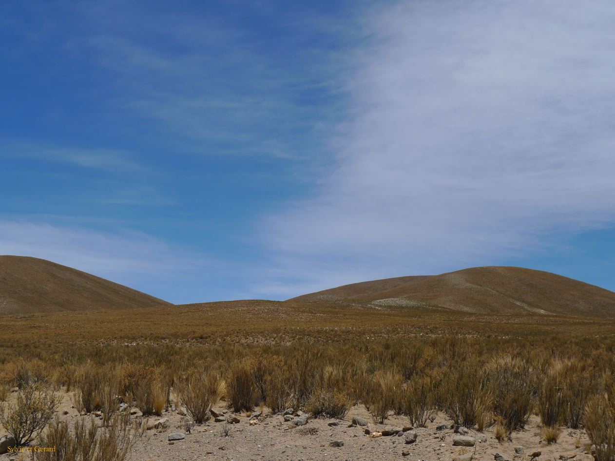 12 Laguana de los Pozuelos Ruta 5-22