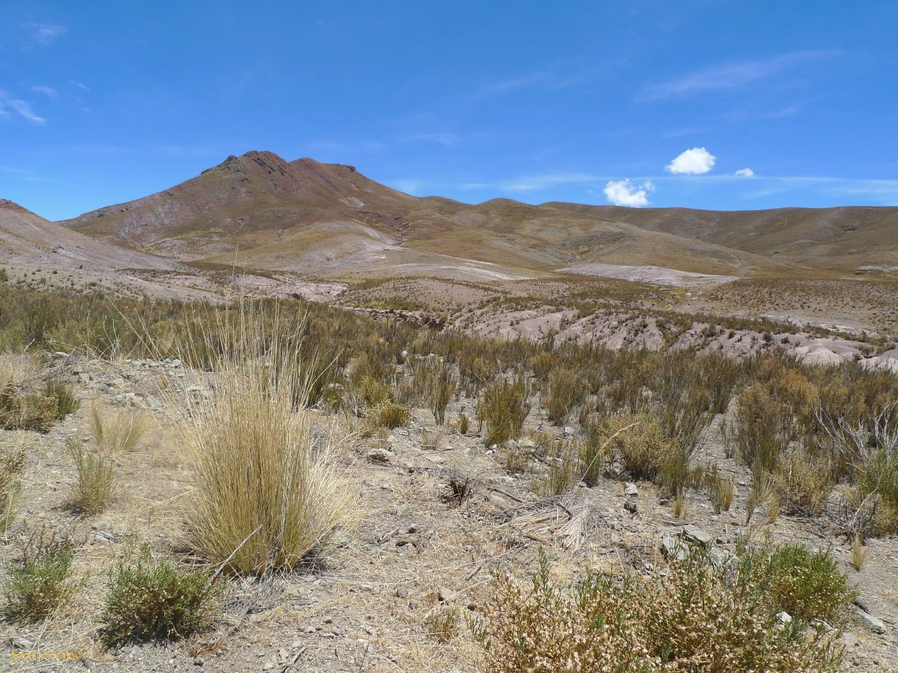 12 Laguana de los Pozuelos Ruta 5-24
