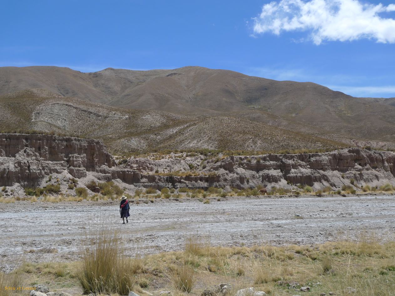 12 Laguana de los Pozuelos Ruta 5-25 bergere de lamas