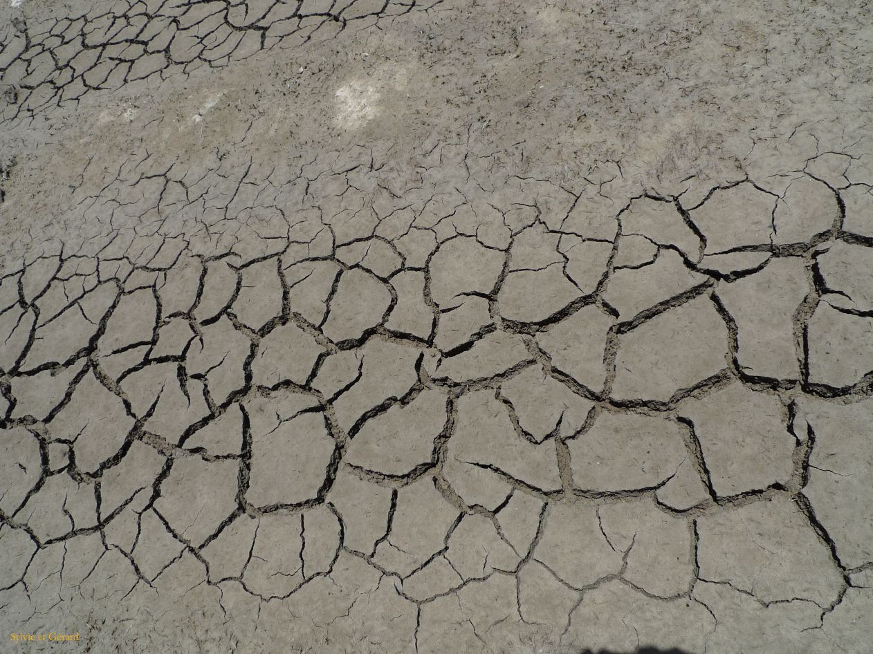 12 Laguana de los Pozuelos Ruta 5-31