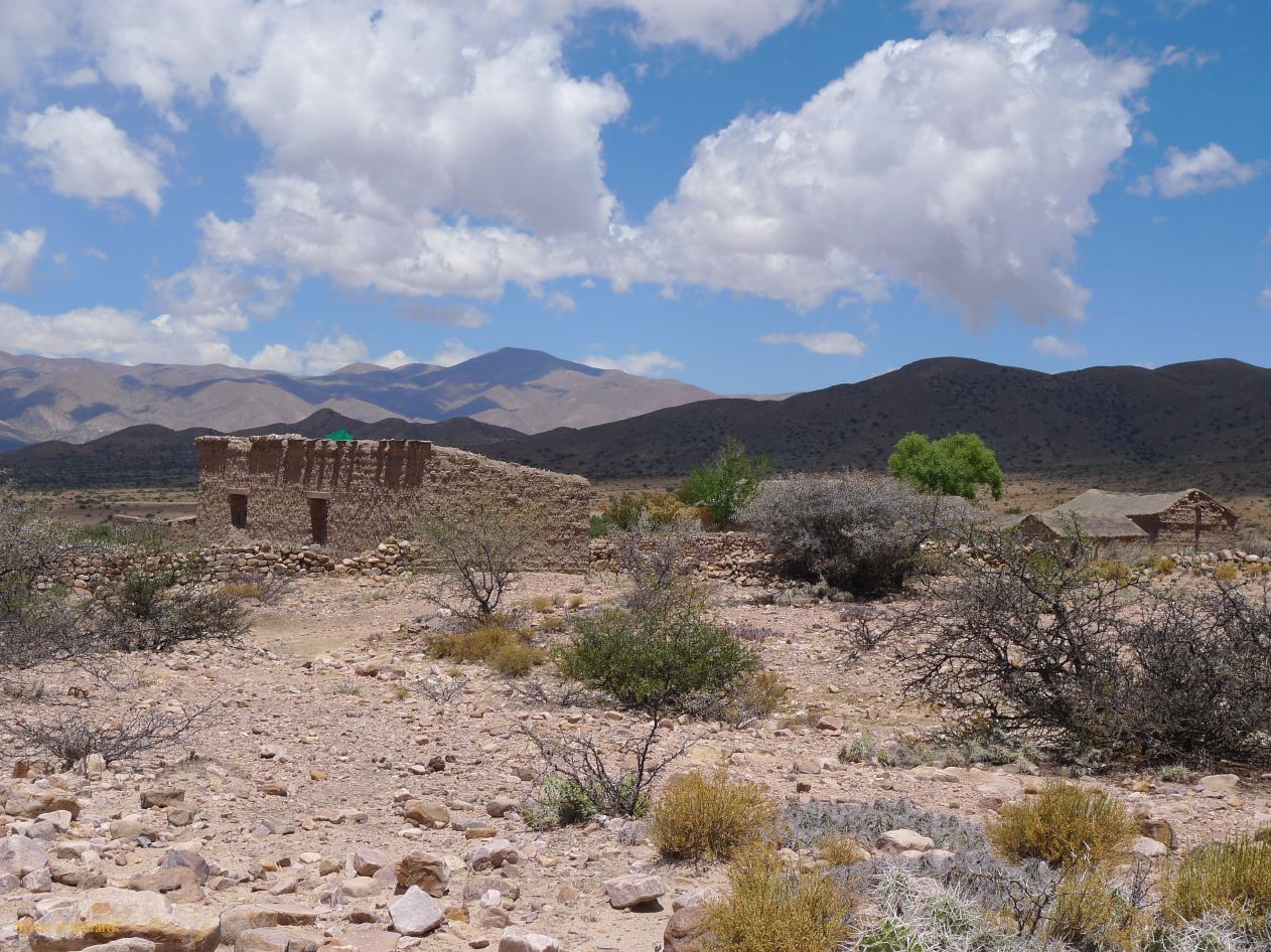 12 quebrada Coctaca habitation au milieu des cailloux