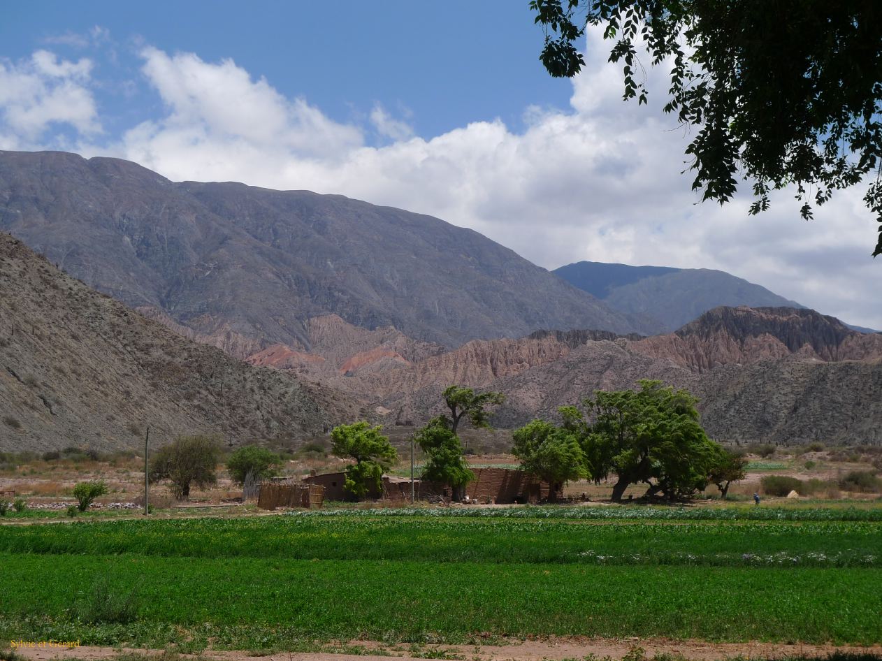 12 Quebrada le long de la Ruta 9 et du Rio Grande des cultures