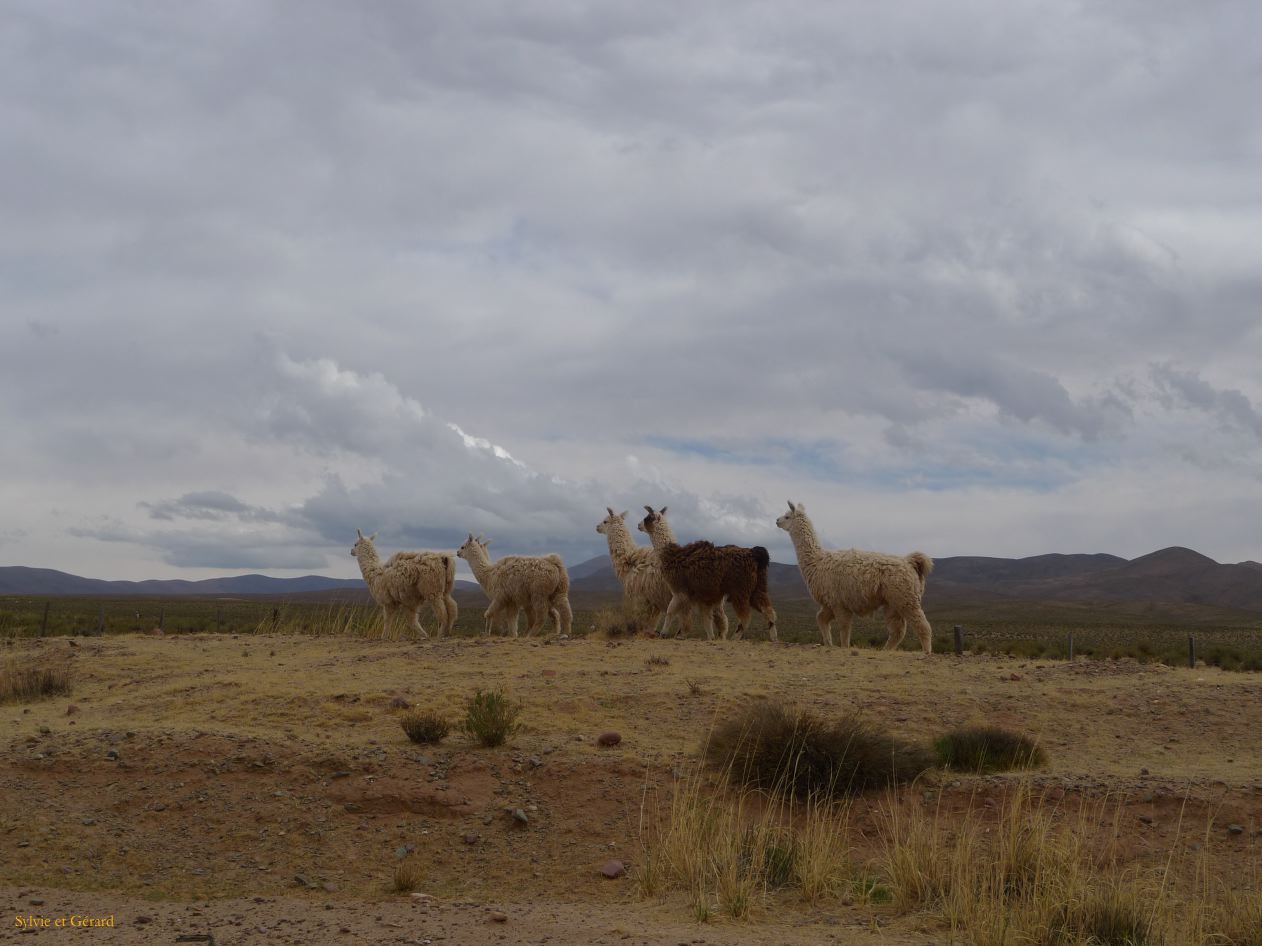 12 Quebrada le long de la Ruta 9 les lamas 1