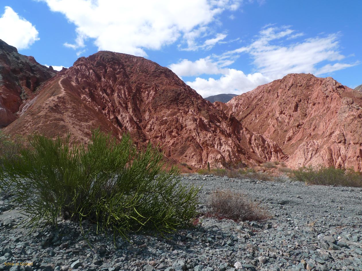 12 Quebrada Le Paseo de los colorados Purmamarca 9